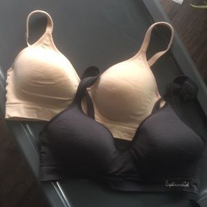 Splendid wireless bras